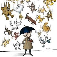 RAINING CATS AND DOGS