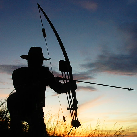 HAVE ANOTHER/MORE THAN ONE STRING TO ONE'S BOW