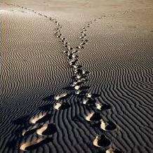 PATHS CROSS