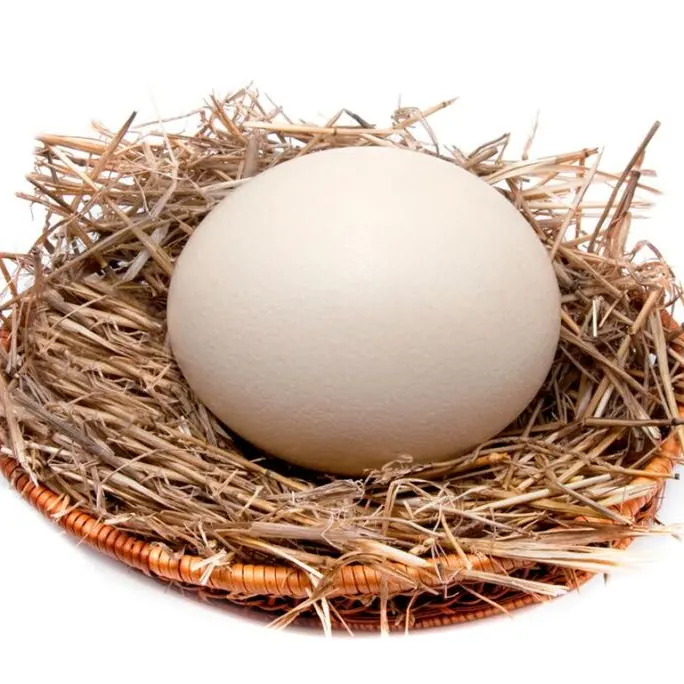 GOOD EGG