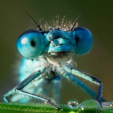 EYES POP OUT OF ONE'S HEAD