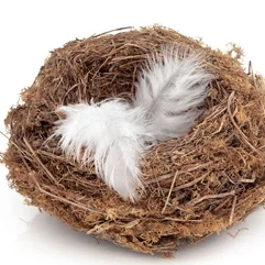 FEATHER (ONE'S) NEST