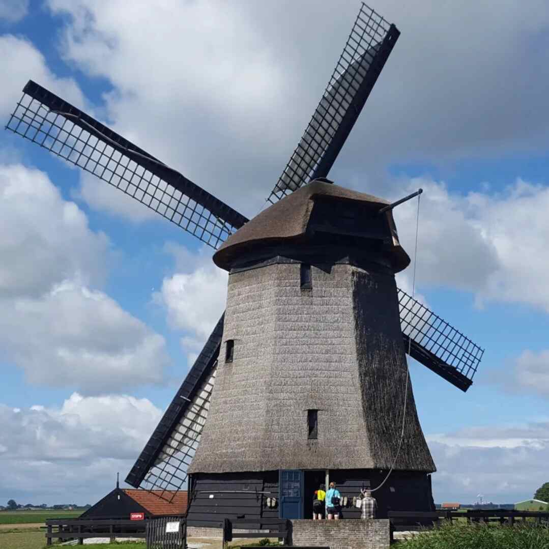 TILT AT WINDMILLS